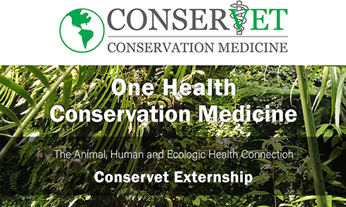 Conservet Conservation Medicine website