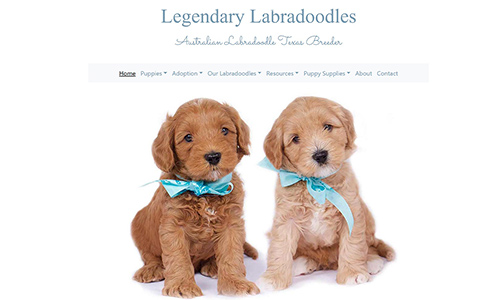 MLegendary Labradoodles website