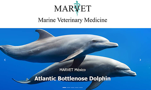 Marvet Marine Animal Medicine website